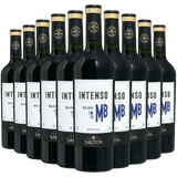 Kit 10 Vinhos Tintos – Salton Intenso Malbec