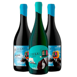 Kit 3 Vinhos Seleção – Eureka Wines